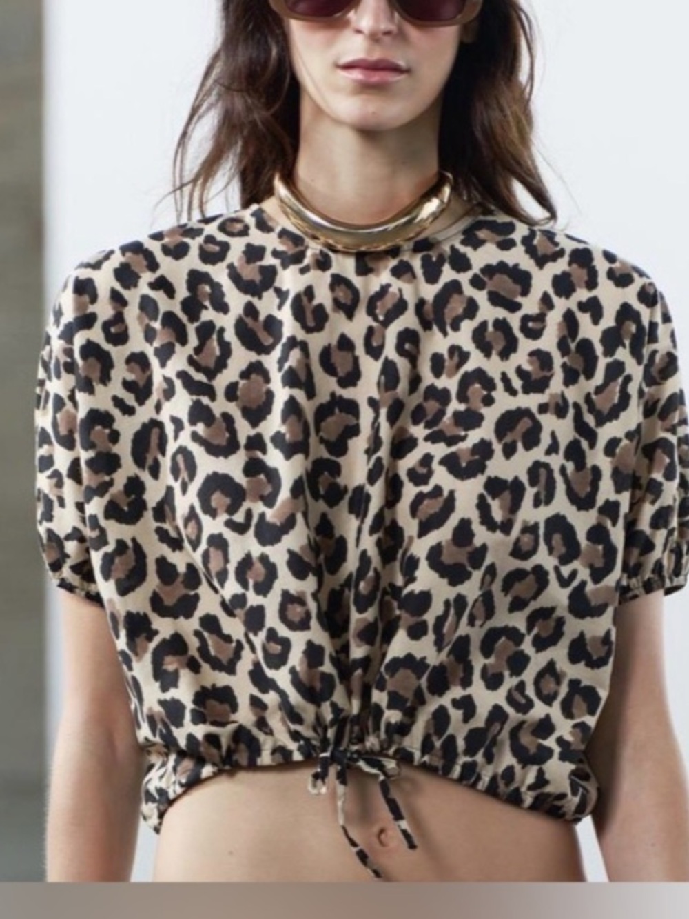 Zara leopard crop top